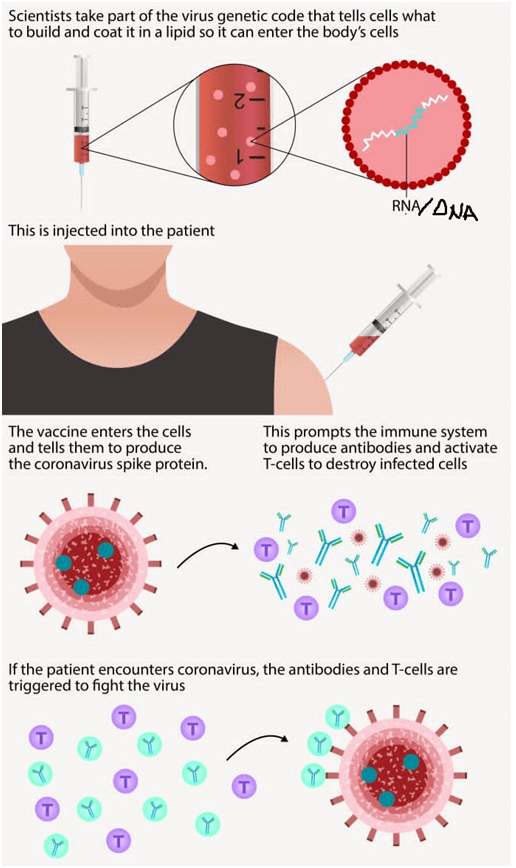 Myths and Fears around the COVID vaccine