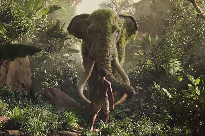 A Quest for Identity and Self with Mowgli