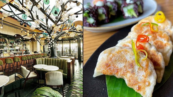 Top-Restaurants-in-Delhi-NCR-food