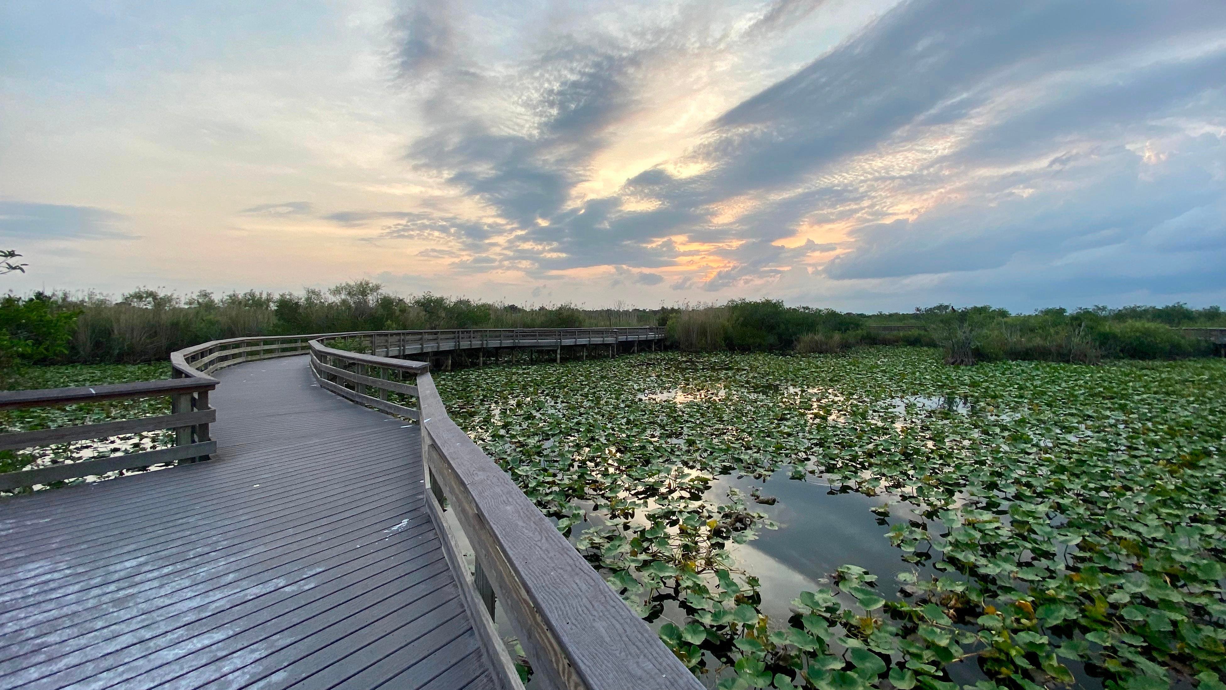 Everglades National Park - best national parks to visit in the US
