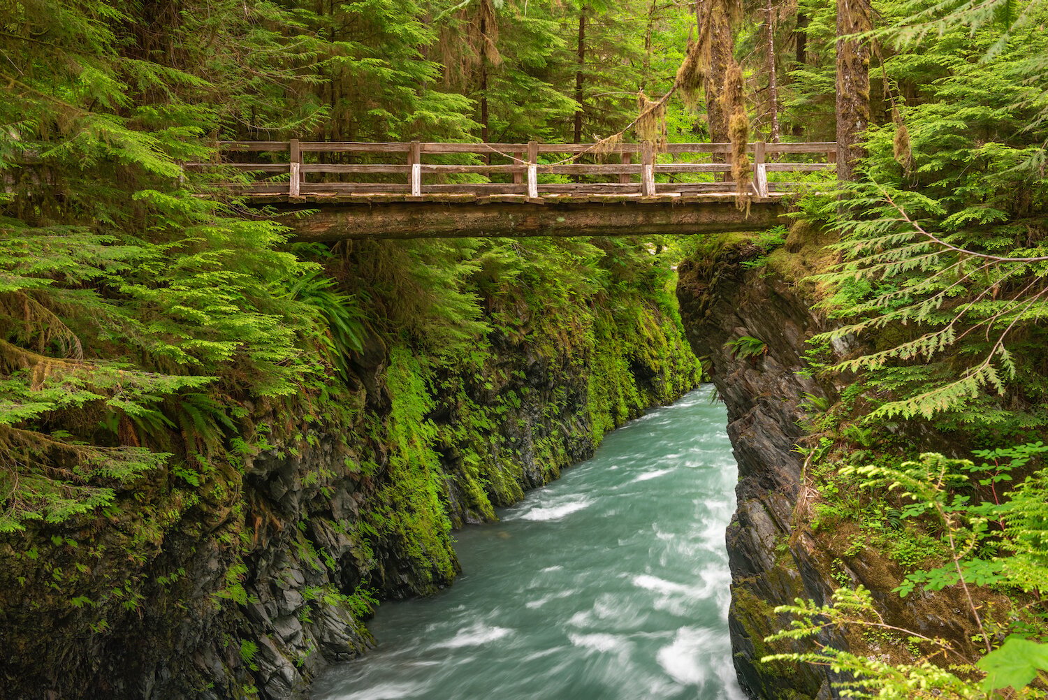 Best National Parks to Visit in the US - Olympic National Park