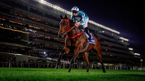 Romantic Warrior, Riyadh, Horse Racing, Casino News, Gambling News, Sports Betting, Saudi Arabia, KSA
