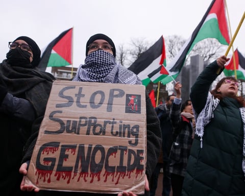 protests, icj, the hague, gaza genocide case, israel south africa, international court, palestine protest