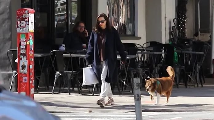 Aubrey Plaza shows baby bump during first public appearance in New York City