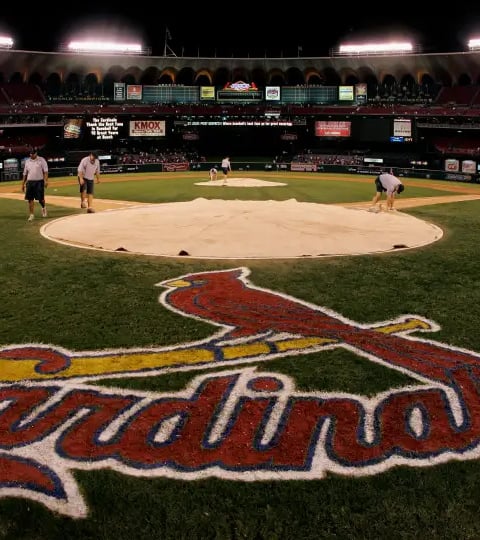 St. Louis Cardinals fans in “tarps off” section celebrating walk-off win at Busch Stadium