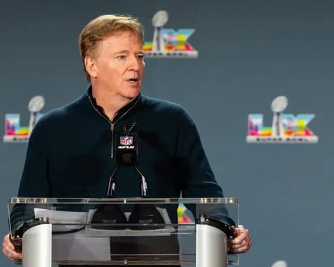 Roger Goodell addresses NFL owners during growing Rooney Rule investigation
