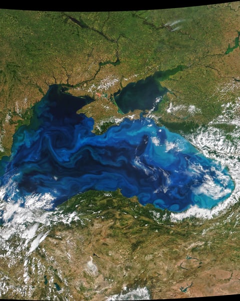 NASA Suomi NPP and NOAA-20 VIIRS satellite image of Black Sea phytoplankton bloom June 20 2022 with Crimea Russia Ukraine Turkey coastlines