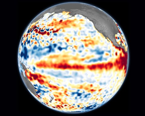 NASA Earth Observatory sea surface height anomaly map of the central and eastern Pacific Ocean during El Nino formation June 2023