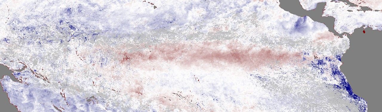 NASA satellite image showing the El Nino sea surface temperature anomaly signature across the equatorial Pacific Ocean