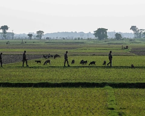 Border Guard Bangladesh personnel patrol near the Benapole-Petrapole frontier crossing on the India-Bangladesh border