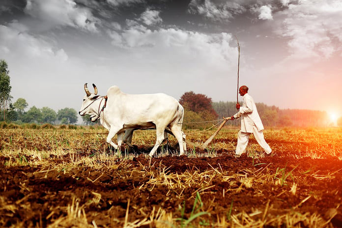 Indian agricultural fields facing drought risk as El Nino conditions threaten the 2026 kharif season