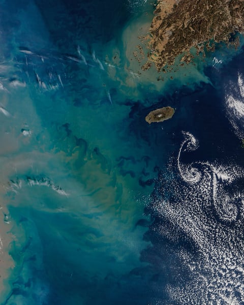 NASA Terra MODIS image of Jeju Island Korea Strait February 19 2026 with sediment plume from Chinese coast and cloud vortices