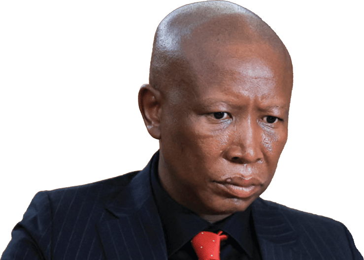 Economic Freedom Fighters leader Julius Malema