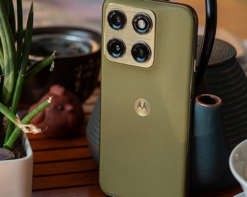 Motorola Edge 2026 in Pantone Martini Olive on a table next to a potted plant