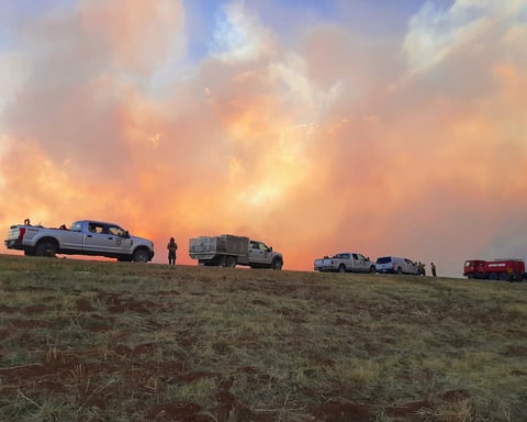 A wildfire burns through forest in New Mexico, the kind of dry, beetle-stressed landscape that increasingly turns into catastrophic fire
