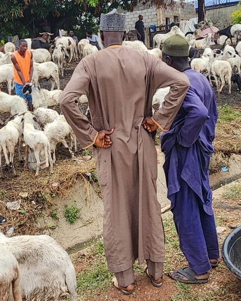 Shoppers at an open-air livestock market in Abuja, Nigeria, amid a rising cost of living
