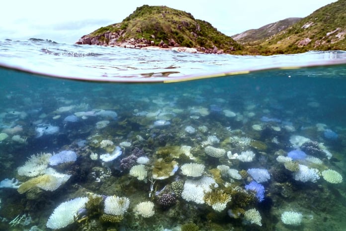 Bleached white coral and dead reef near Lizard Island on the Great Barrier Reef as ocean temperatures rise