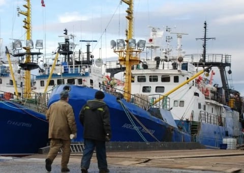 Russian fishing vessels docked at Kirkenes port in Norway, one of the last EU-adjacent ports still open to Russian cod trawlers under current sanctions