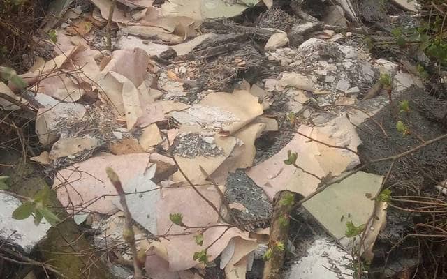 Mainz-Bingen district opens green cutting areas