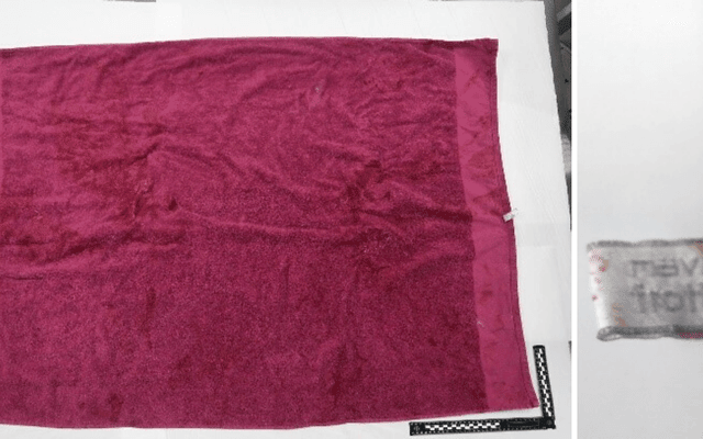 Newborn child deposited near Ingelheim hospital