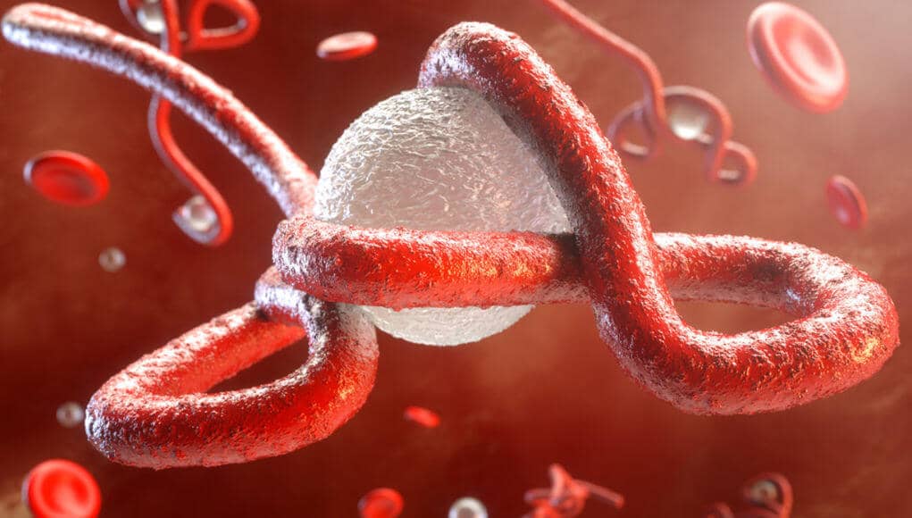 WHO reports eruption of EBOLA 2020 outbreak, deadly fever again