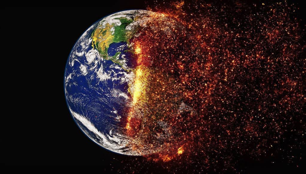 “Nature” the Tortoise, Hare “the blind race of development”