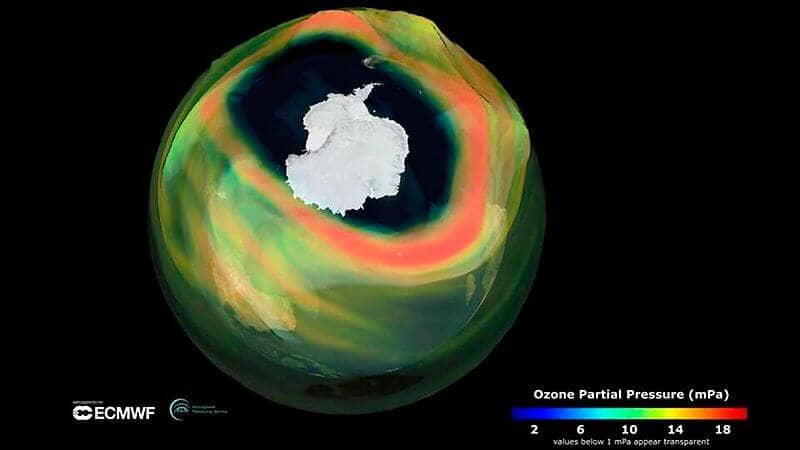 The hole in the ozone layer is the largest in the last decade