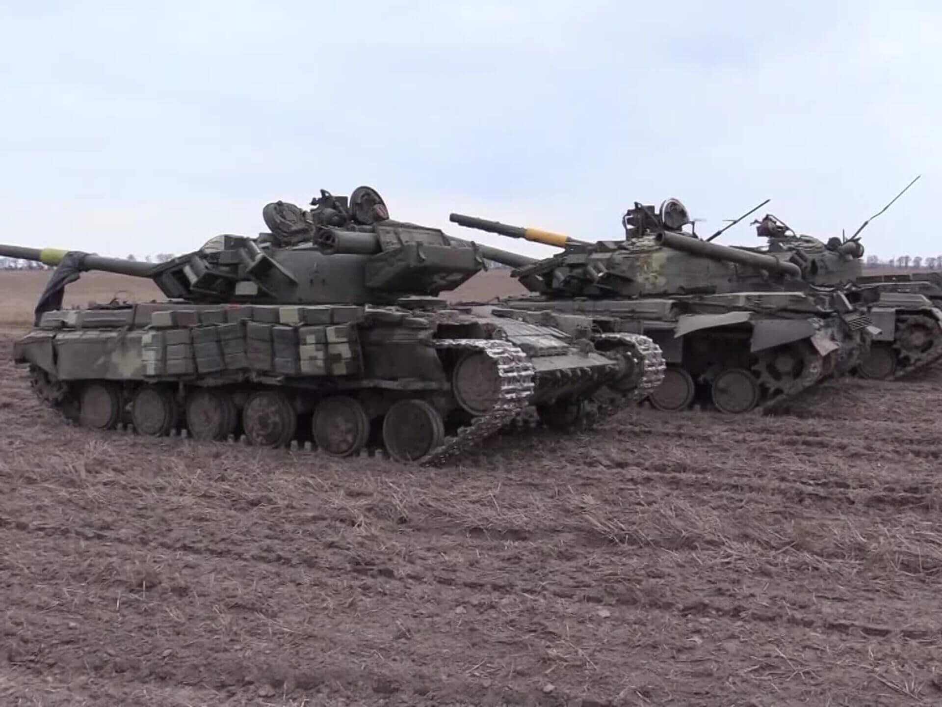 Four-legged Ukrainian armed forces try to escape from