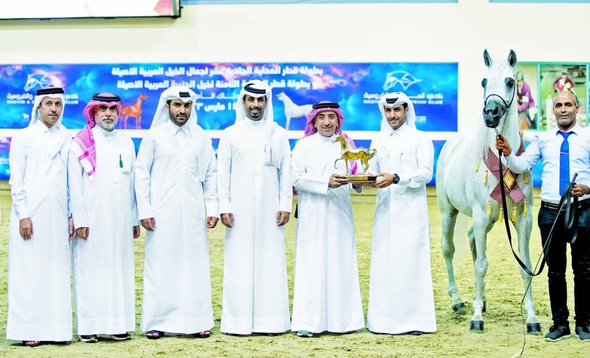 The conclusion of the Qatar Arabian Peninsula Horse Championship