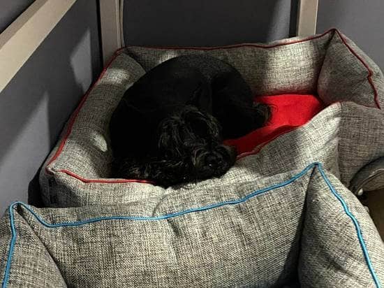 Lack of sleep causes obesity