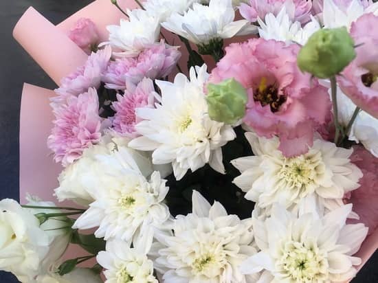 Penzyachki told about the most unusual gifts on March 8