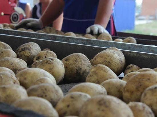 Governor of Kuban congratulates citizens on Day of Unity of Peoples of Russia and Belarus