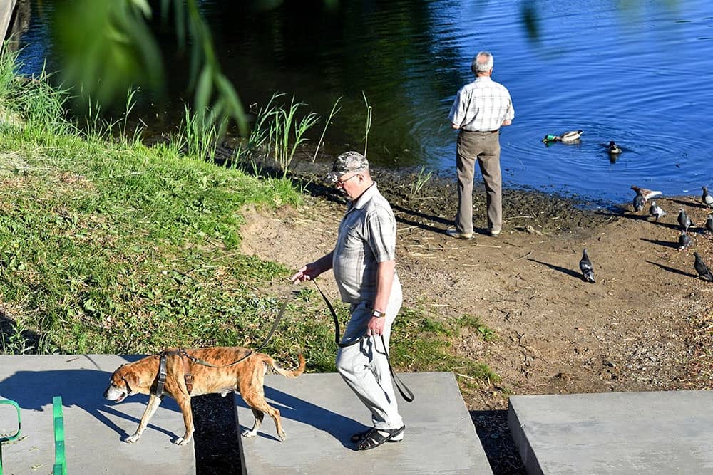 Mail “SOYUZ”: How can a pensioner register as unemployed