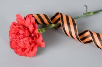 On the eve of Victory Day, the Interregional Festival of Amateur Children’s Cinema will be held in the Tver region