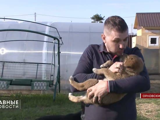 Puppy found in bag at Orel Area Waste Management Complex reunited with owner