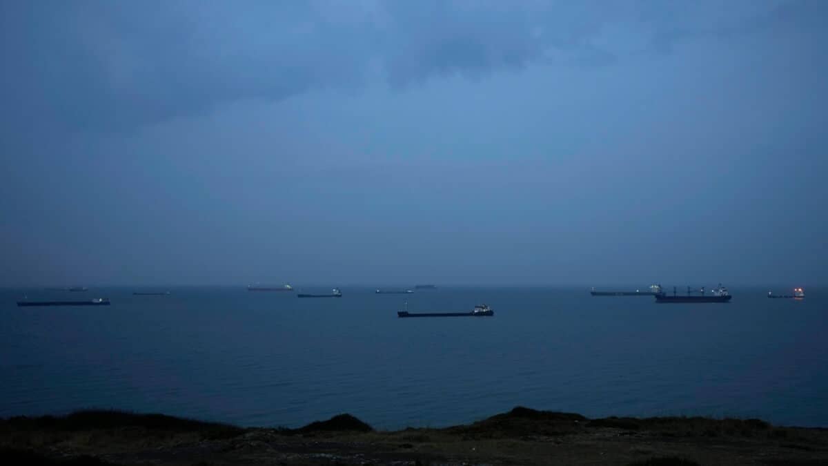 Ukraine accuses Russia of sabotaging the Black Sea Grain Initiative