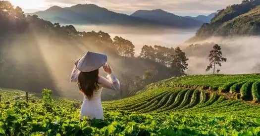 One more seaside resort: Russia and Vietnam will resume direct flights