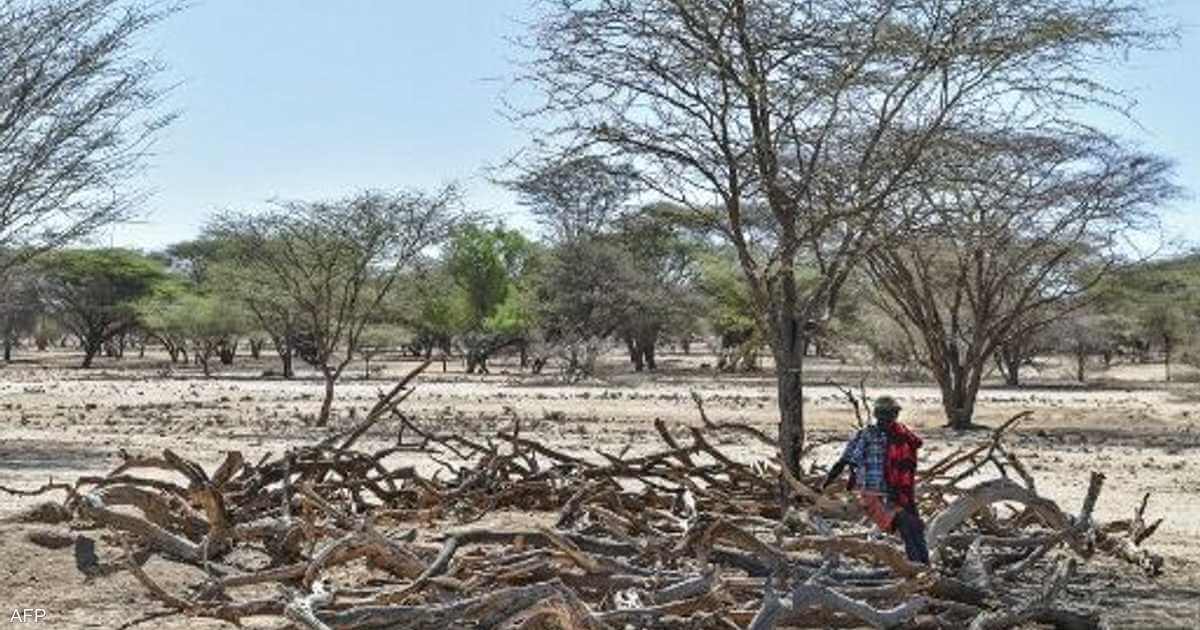 America supports Horn of Africa with $524 million to fight drought