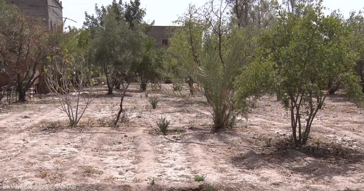 Morocco.. Enormous challenges to maintain food security