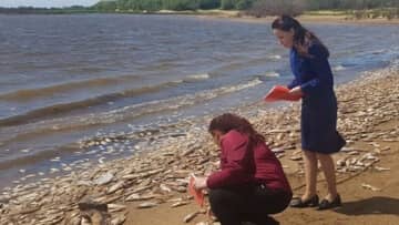 Massive death of fish recorded on the Amur River