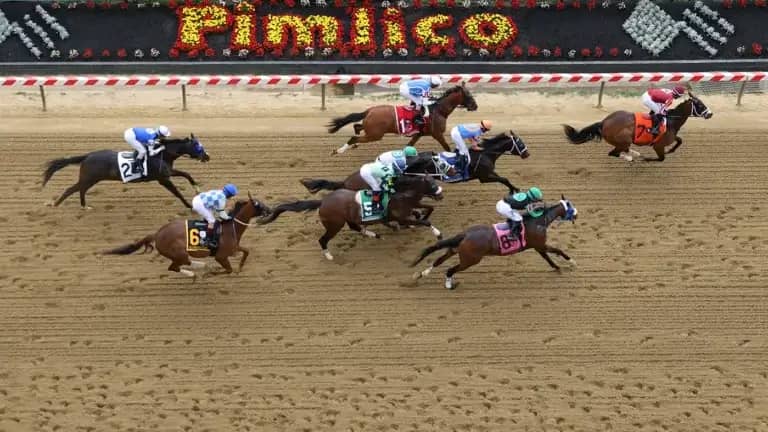 Preakness Horse Racing took place in the United States. How