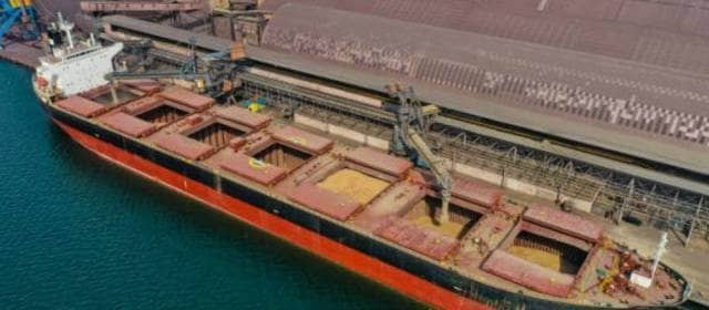 The economist assessed the possibility of creating Russia’s own grain fleet