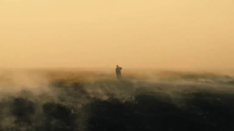 Which films have won awards at the Beat Film Festival