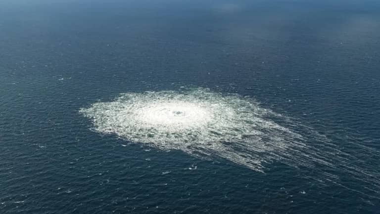 the intelligence services of the Netherlands were aware of Ukraine's