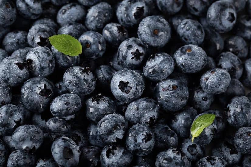 The Remarkable Health Impact of Blueberries on Aging Brains and Blood Vessels, Says New Study