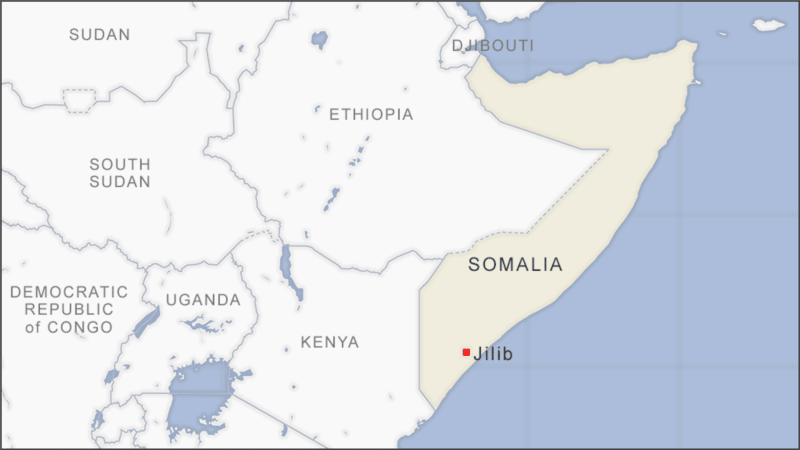 Al-Shabab commander killed in joint US-Somali operation