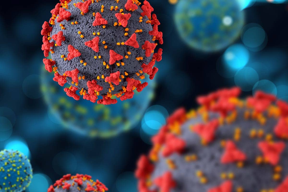 new covid variant Stratus, stratus covid strain, covid strain XFG.3, hoarse voice covid symptom, UK covid variant 2025, covid spread Europe, WHO covid variant monitoring