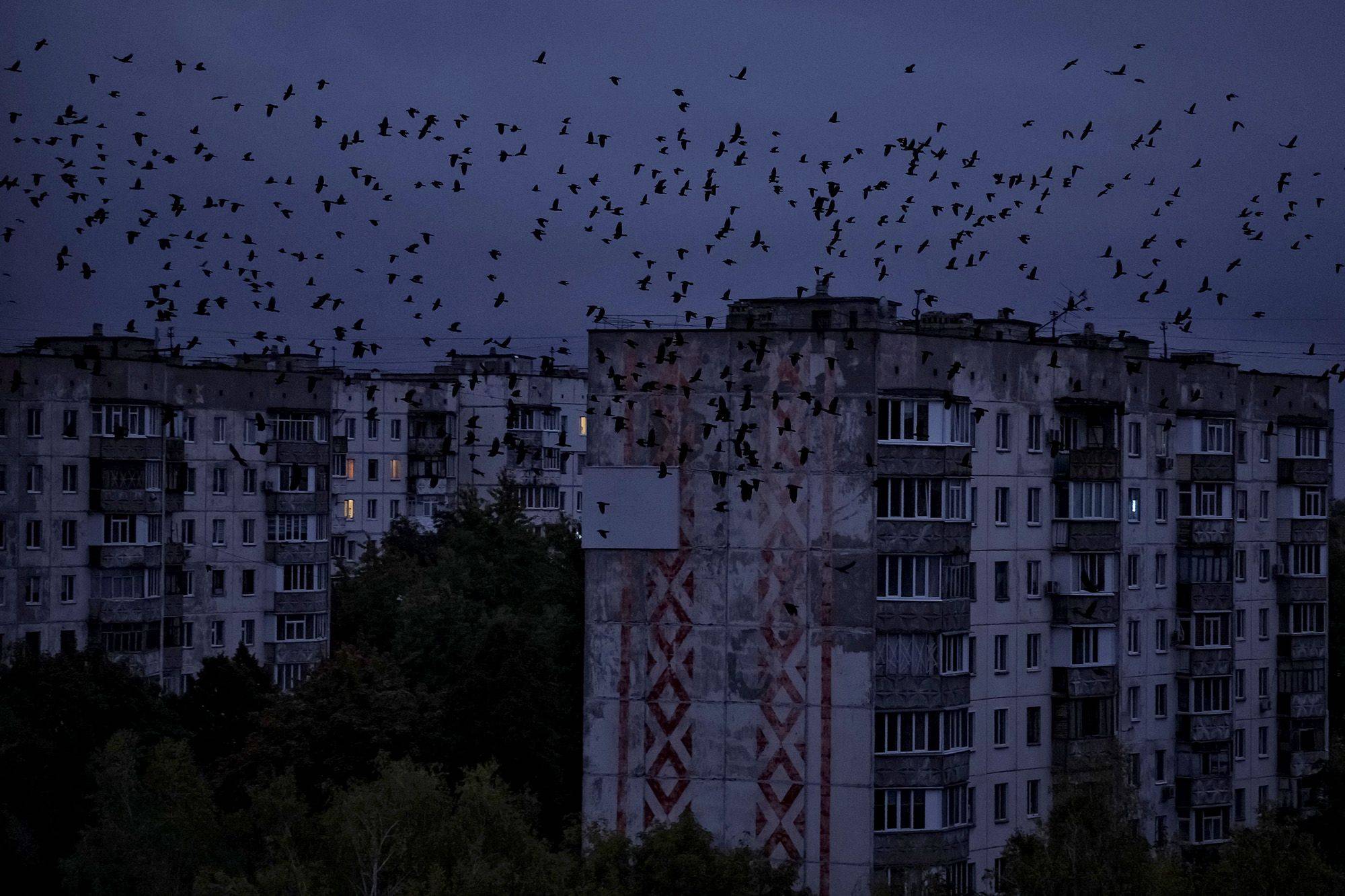 Apartment blocks in Chernihiv during a citywide blackout after overnight drone strikes, October 2025.