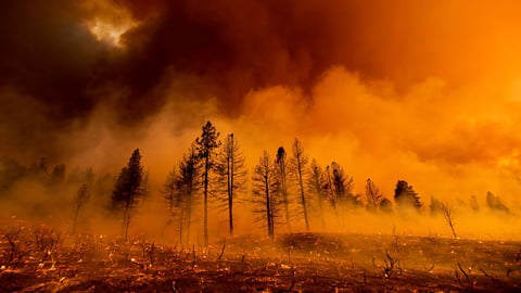 Western Canada wildfire burning through boreal forest, highlighting climate change impacts