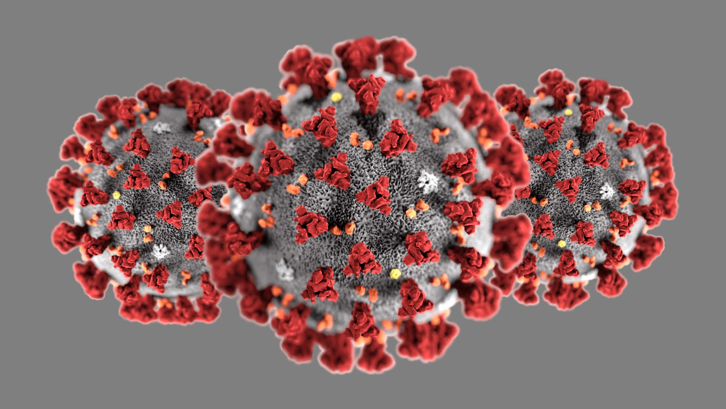 CDC 3D rendering of the novel coronavirus 2020